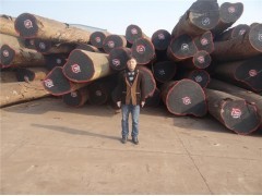 上海洪煌木业闵行经营部 专业木材销售，精选全球优质木材