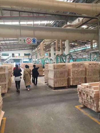 探访珠江钢琴木材加工厂 匠心工艺与跨界魅力的交响