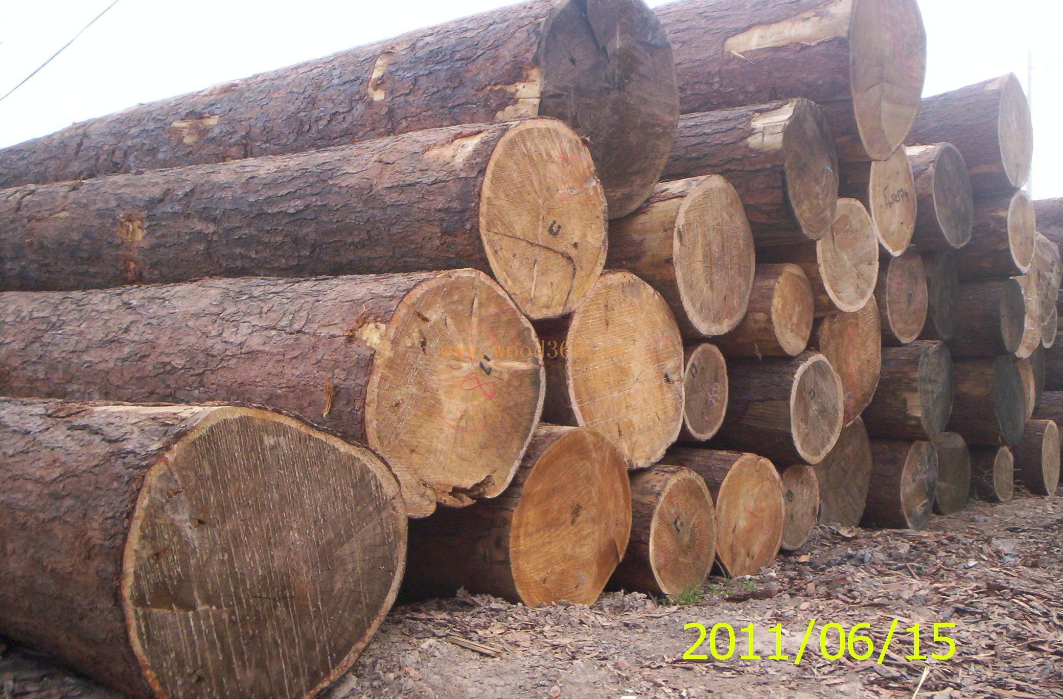 红松原木、樟子松原木、落叶松原木与杂木——德州木材总公司的多元化供应与服装服饰批发