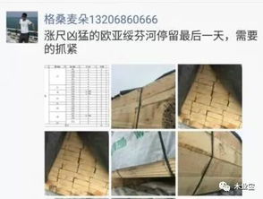 履约思源，不忘初心 2017年11月11日精品木材销售信息速递