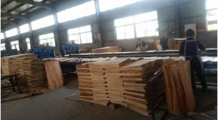 贵州建筑工程采购指南 如何高效选购优质莆田方木