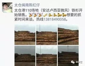 精品木材销售信息 履约思源，不忘初心